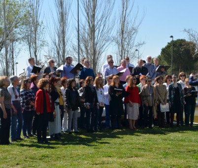 11m-2