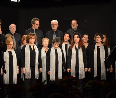 alhon2019-5
