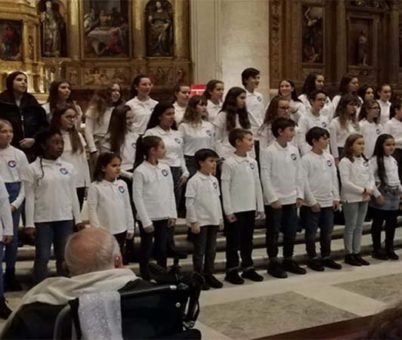 2019-catedral